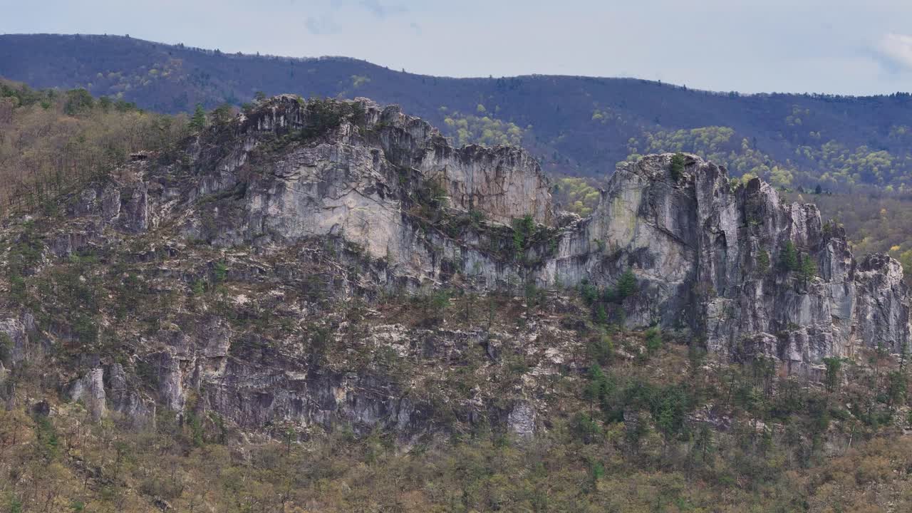 Vertical cliffs of Seneca Rocks viewed from side with forested mountain backdrop, West Virginia, USA