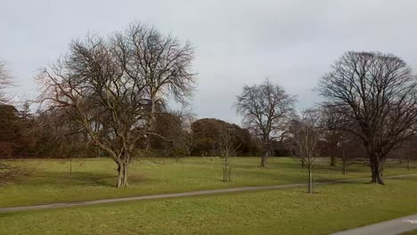 phoenix park in dublin - the biggest recreation park in the city