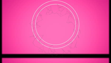 animación de círculo blanco y red giratoria con marco móvil, sobre fondo rosa