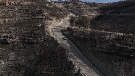 Aerial-descending-view-to-vehicle-driving-up-hillside-road-through-burned-forest-fire-woodland-remains