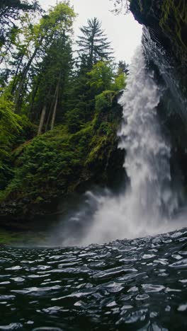 a mesmerizing waterfall video captured from a low-angle, showcasing lush greenery and cascading