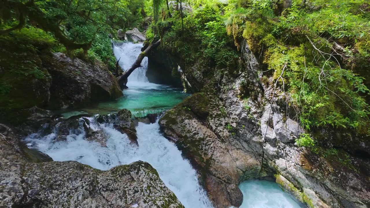 Acqua turchese scorre rapidamente su rocce e cascate attraverso una gola di foresta verde lussureggiante a Šunik Water Grove, situato nella Valle di Lepena, Slovenia