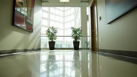 bright and inviting corridor with natural light and potted plants enhancing the ambience of a modern office environment
