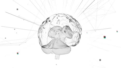 cerebro giratorio contra rastros de luz parpadeantes en un fondo blanco