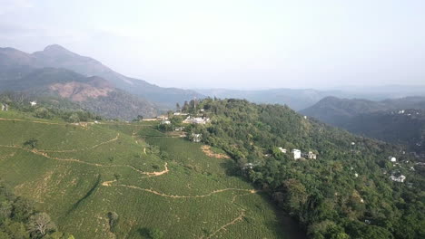 aerial cinematic view of tea plantation close to munnar in kerala, india