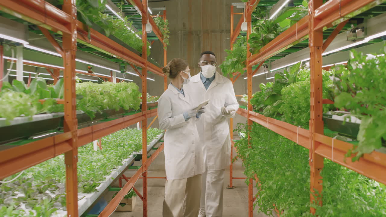 Botanists Walking Along Vertical Farm