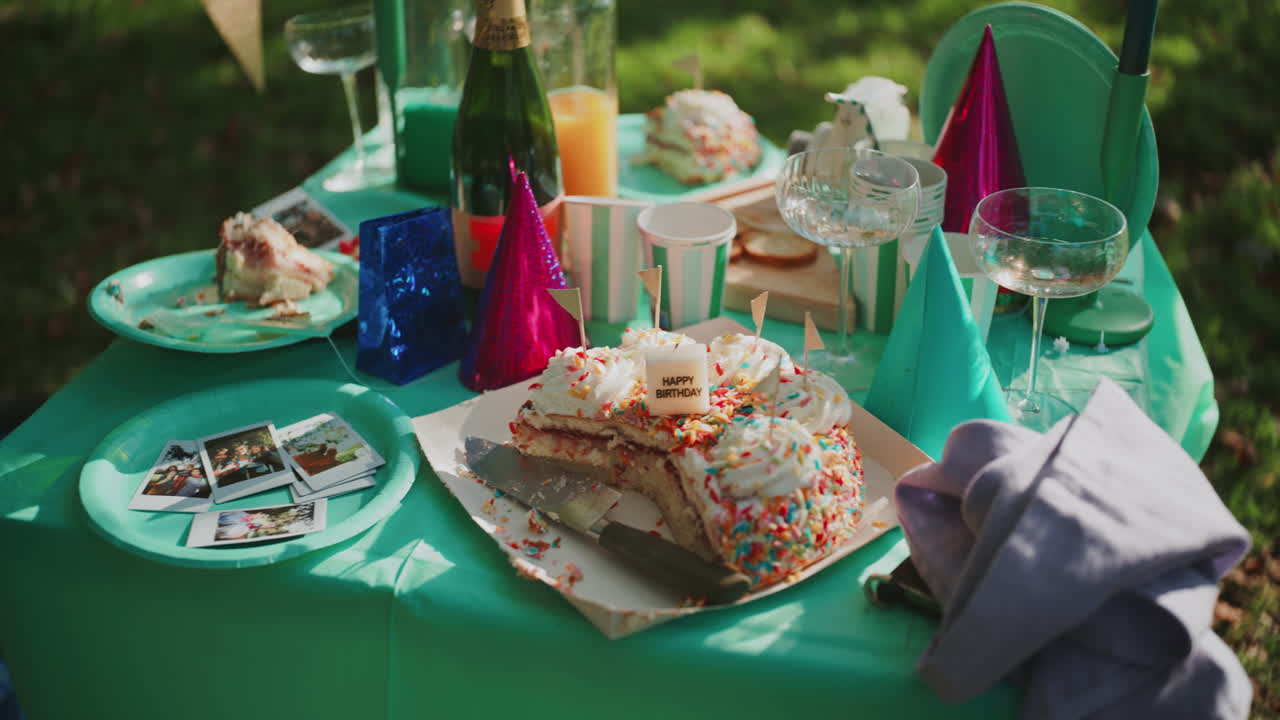 Birthday Picnic Party