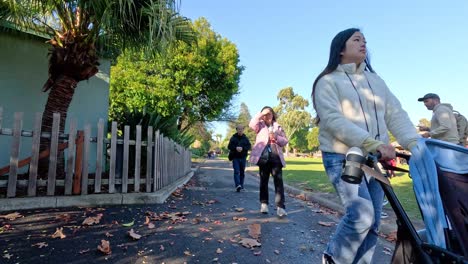 people walking along a zoo pathway