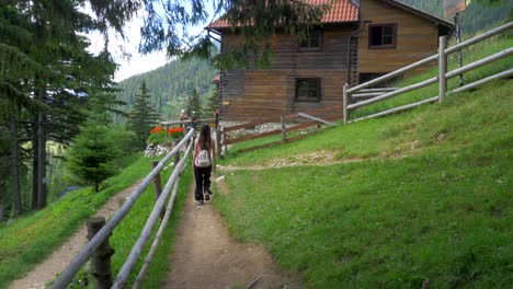 piatra craiului, brasov country, romania, transylvania 4k