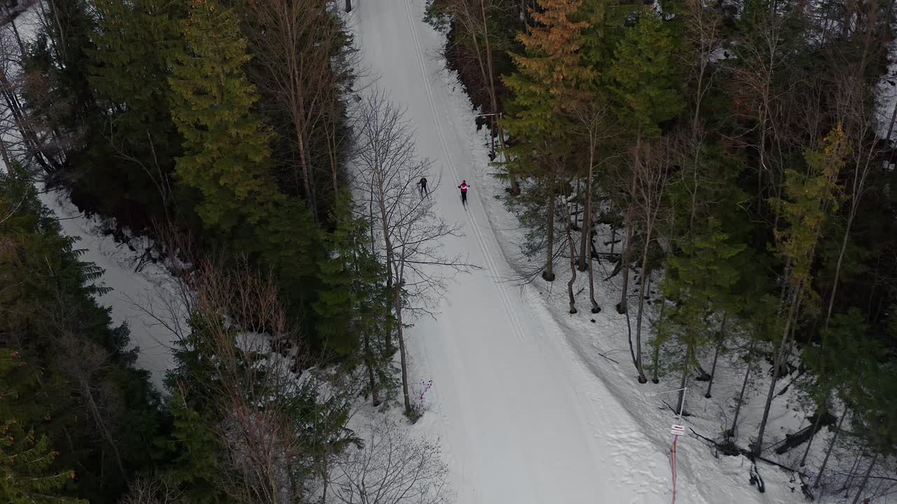 Pista da sci innevata del Monte Gubalowka tra i pini a Zakopane, Polonia, con sciatori in inverno