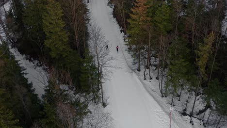 Schneebedeckte-Skipiste-Des-Gubalowka-Berges-Durch-Kiefern-In-Zakopane,-Polen-Mit-Skifahrern-Im-Winter