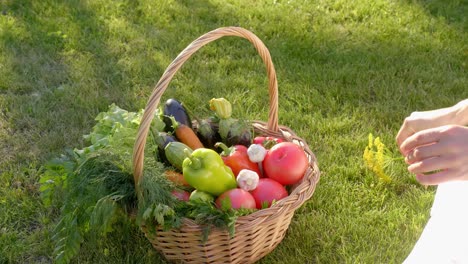 woman picking herbs from basket of fresh vegetables
