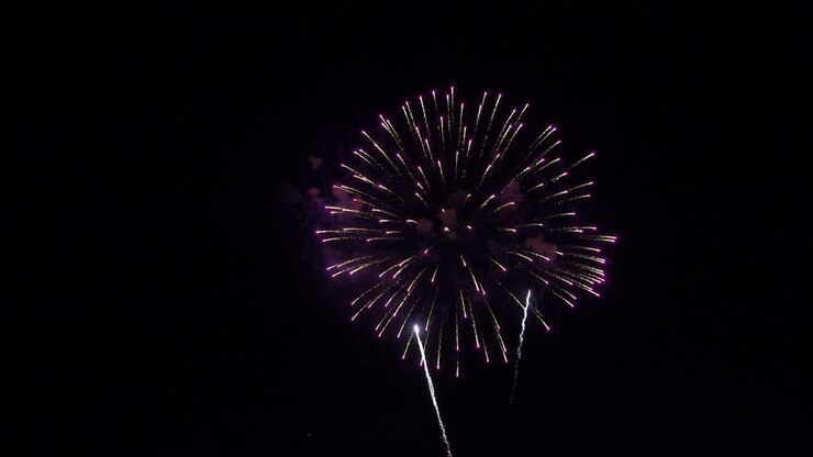 Beautiful festive multicolored fireworks inthe night sky.