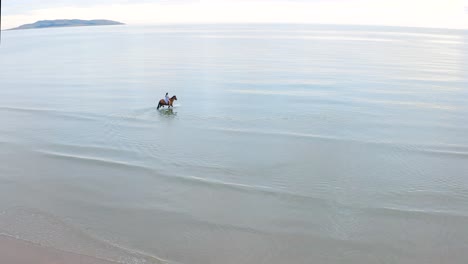 una joven y hermosa morena con el pelo largo y un vestido azul que fluye monta un caballo marrón en la playa de donabate, irlanda