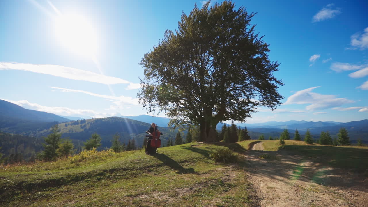 Cellist in a Mountain Landscape