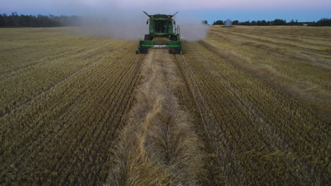 La-Cosechadora-Con-Cabezal-Recogedor-Recoge-Hileras-En-Un-Campo-De-Trigo,-Inclinación-Aérea