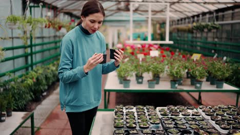 Woman-chooses-succulents-in-a-pot-in-a-greenhouse