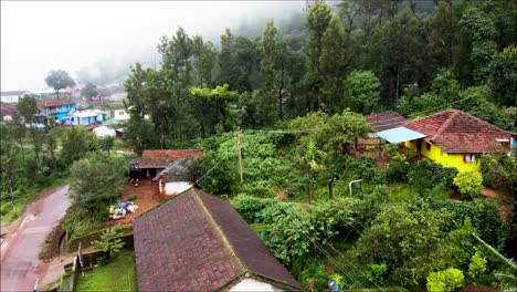 Hermosa-Vista-Del-Pico-Mullayanagiri-Cubierto-De-Exuberante-Vegetación,-Niebla-Y-Neblina