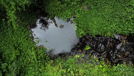 Secret-naturally-formed-swimming-hole-with-a-slow-cascading-waterfall-discovered-deep-in-a-tropical-jungle