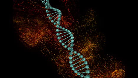 animation of spinning dna structure, red and yellow digital waves against black background