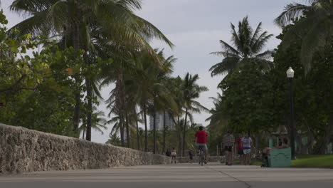miami beach walkway with palm trees and people