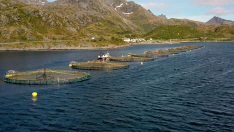 aerial footage farm salmon fishing in norway