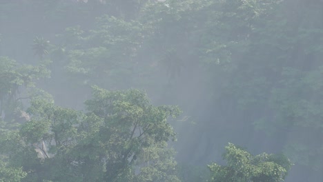 Nebel-Bedeckte-Dschungel-Regenwaldlandschaft