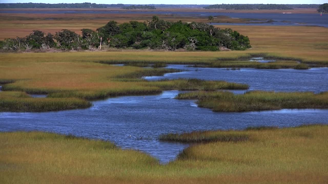 세인트 어거스틴 플로리다 근처의 염습지 1