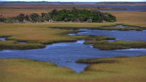 Ein-Salzmarsch-In-Der-Nähe-Von-St-Augustine-Florida-1