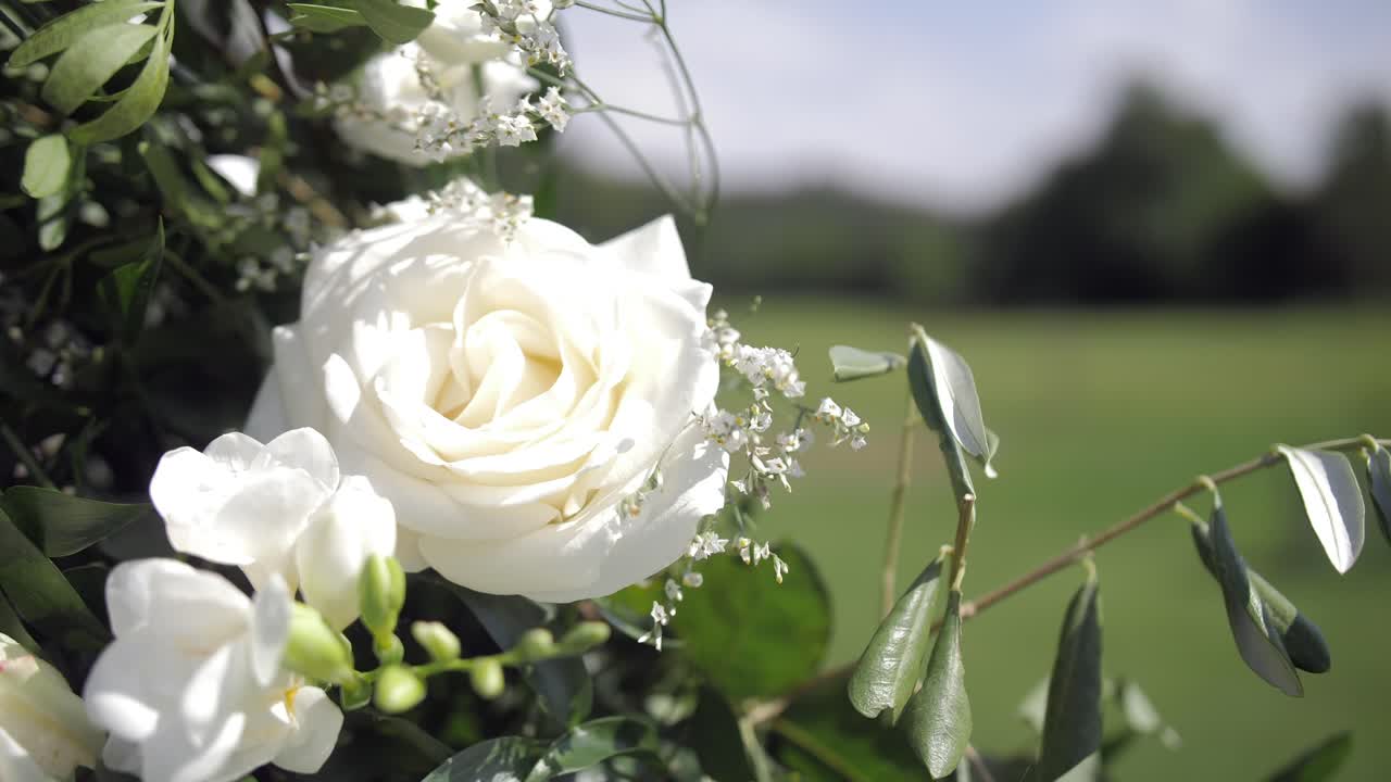 white rose in the wind, part of a wedding arch in a green field, static shot