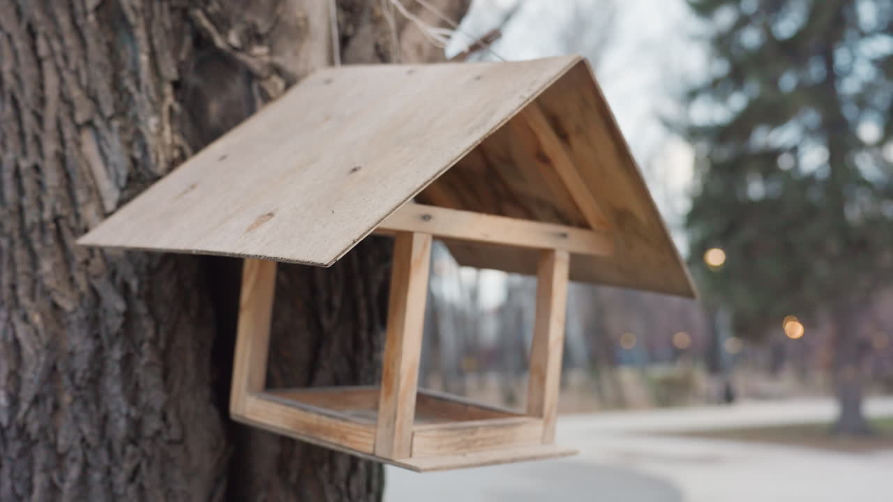 Wooden birdhouse hanging from tree trunk with rope in calm park setting during evening time, with blurred background of trees and glowing lights evoking serene natural atmosphere in soft low light