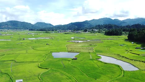 vista aérea de un campo de arroz en arunachal pradesh