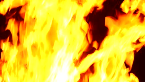 bright, intense blast of flame loop, super close, with fragments burning. uhd stock video