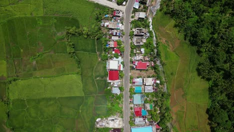 top view of a rural road in the municipality of bato in catanduanes, philippines. aerial shot