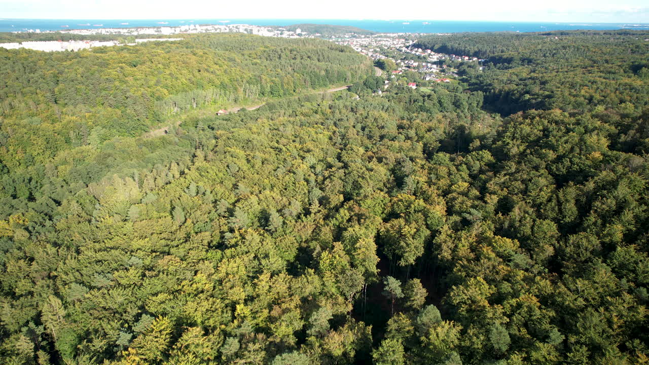 área de witmomino en vista aérea lejana detrás de los árboles, gdynia, polonia