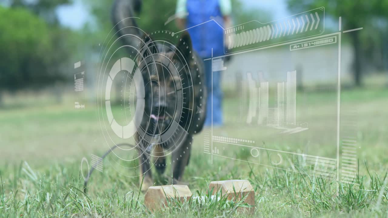 Digital interface animation over person training dog on grassy field