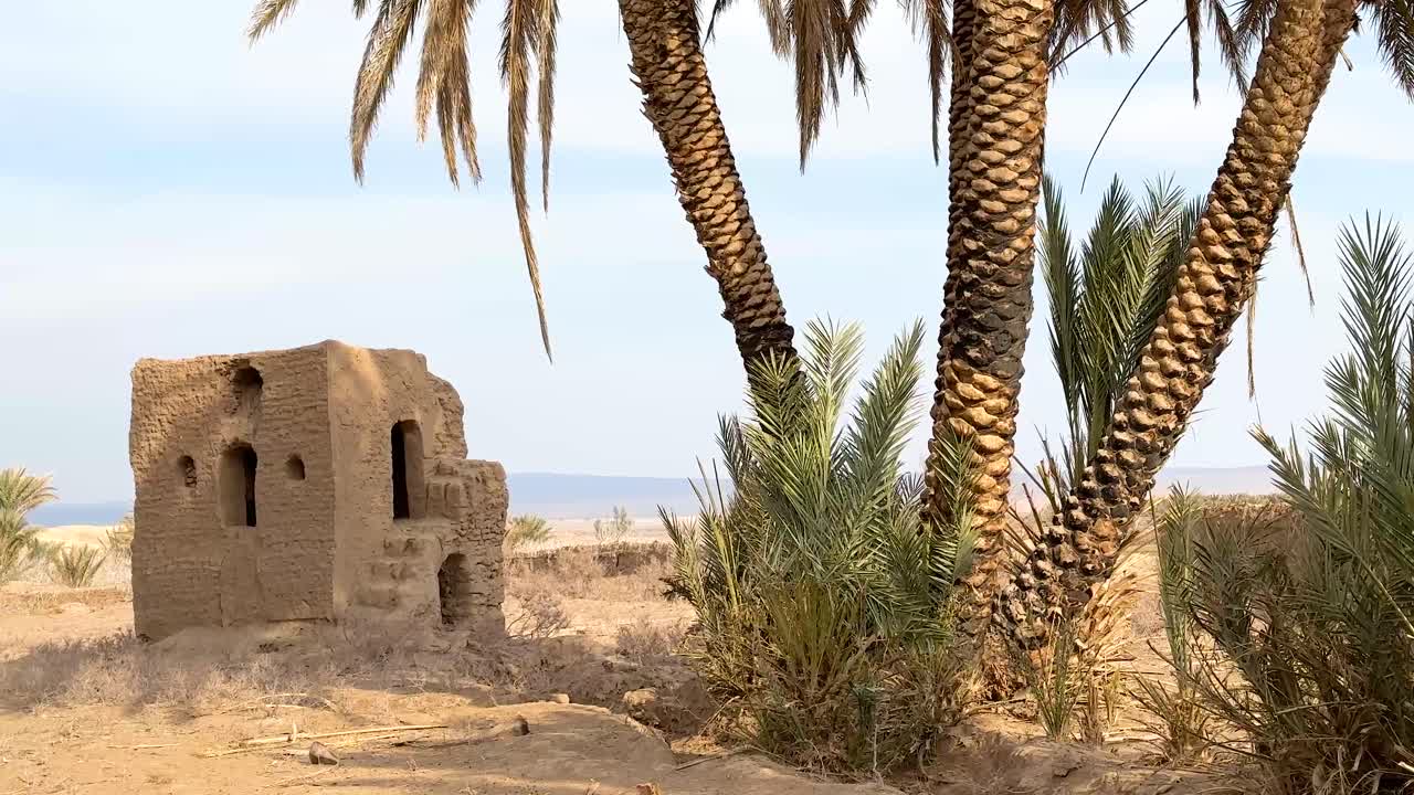 Amazing scenic cinematic wide view landscape date palm tree traditional old clay house blue sky white cloud around garden grove day time sun light golden time abandoned land Iran desert local people