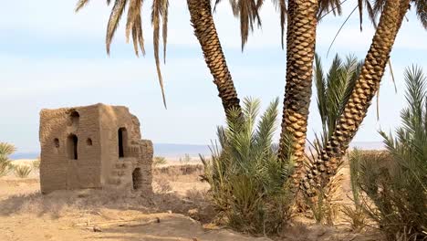 Asombrosa-Escénica-Cinematográfica-Amplia-Vista-Paisaje-Fecha-Palmera-Tradicional-Viejo-Arcilla-Casa-Cielo-Azul-Blanco-Nube-Alrededor-Jardín-Arboleda-Día-Hora-Luz-Del-Sol-Hora-Dorada-Tierra-Abandonada-Irán-Desierto-Gente-Local