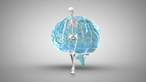 animación digital del esqueleto humano caminando sobre el cerebro humano girando contra un fondo gris