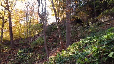 Ein-Atemberaubender-Herbstwald-Wird-Von-Der-Untergehenden-Sonne-Beleuchtet-Und-Wirft-Einen-Warmen-Glanz-Auf-Die-Bunten-Blätter