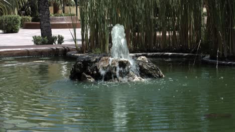 fuente de estanque de peces koi