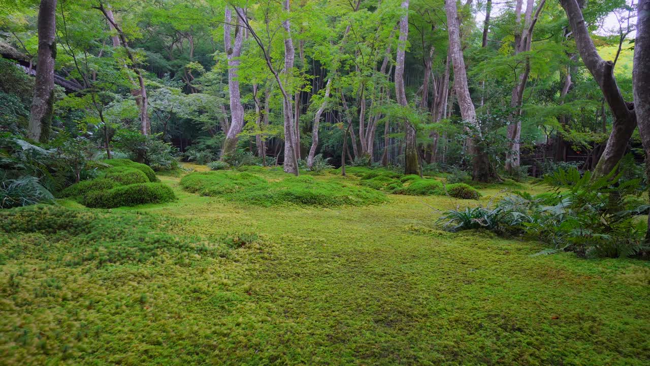 일본 의 일부 사원 들 에서, 정원 설계 는 수백 종 의 모스 를 심고 이 목적 을 위해 사용 하는 것 을 기반으로 한다