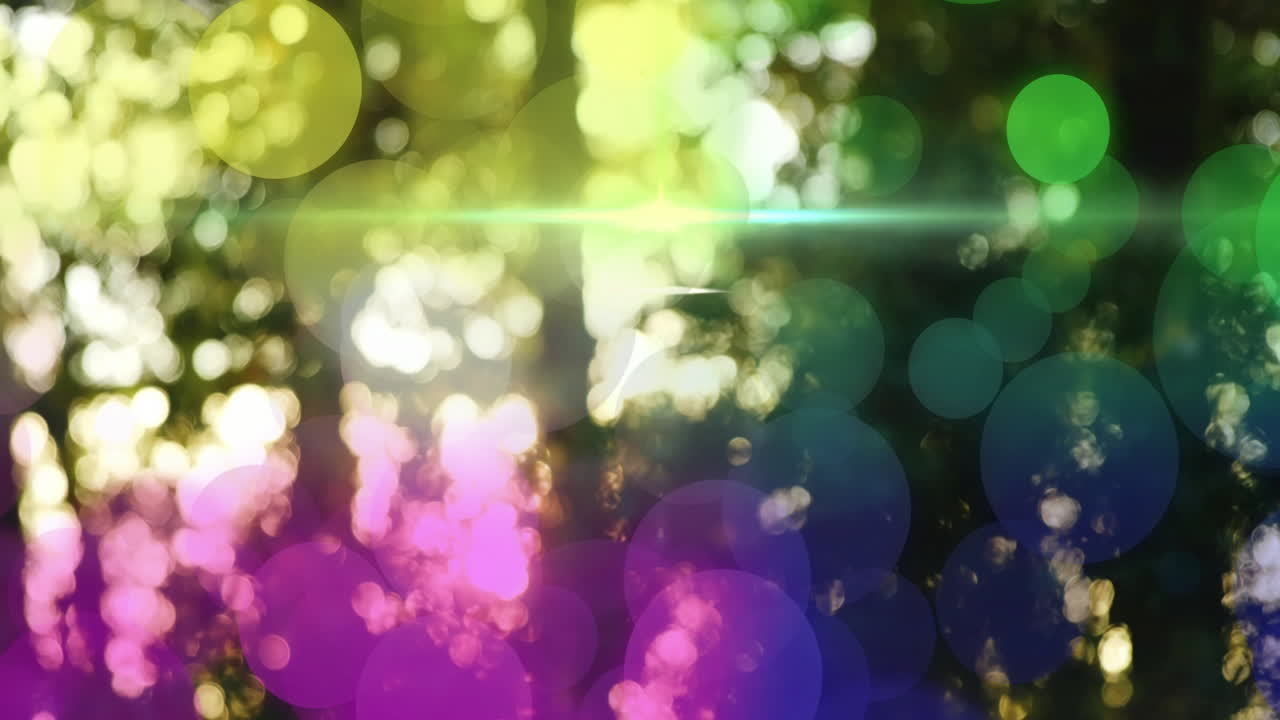 Animation of colorful bokeh lights overlaying blurred trees in bright sunlight