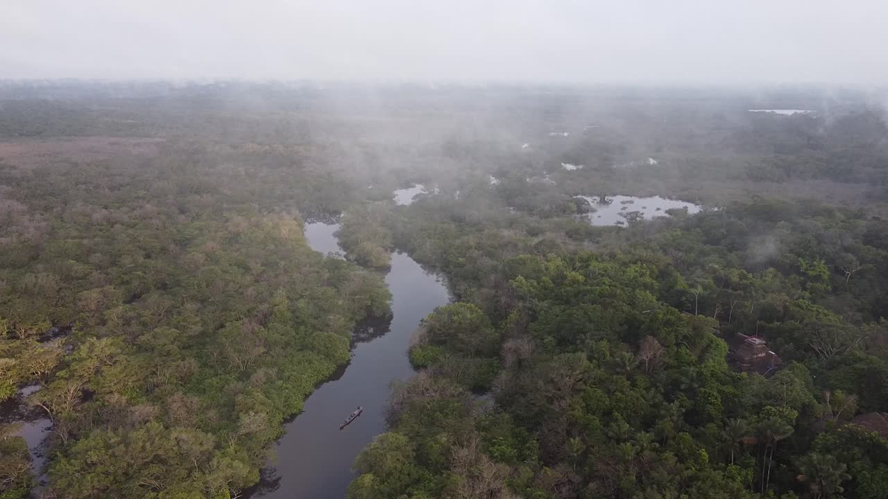 Aerial View of a River in the Amazon Rainforest