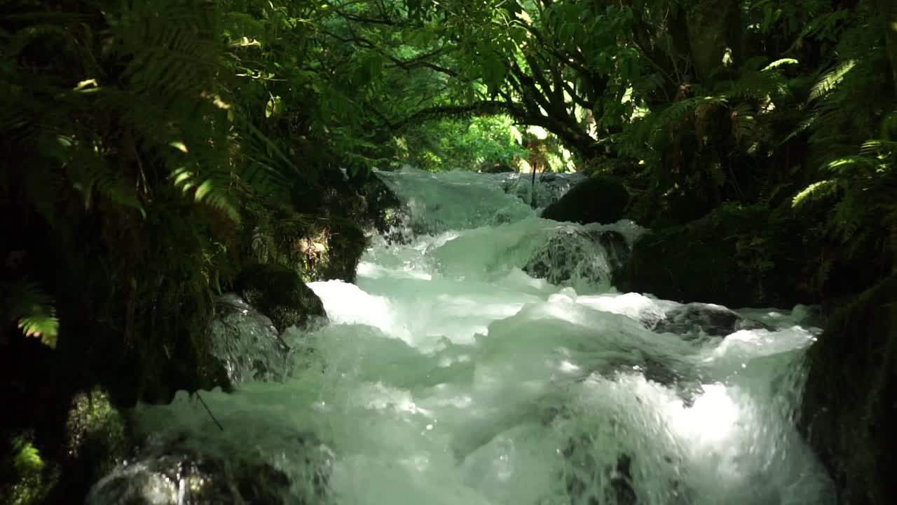 tiro bajo aguas arriba de un arroyo claro y prístino que fluye rápido sobre rocas en el exuberante bosque nativo de nueva zelanda