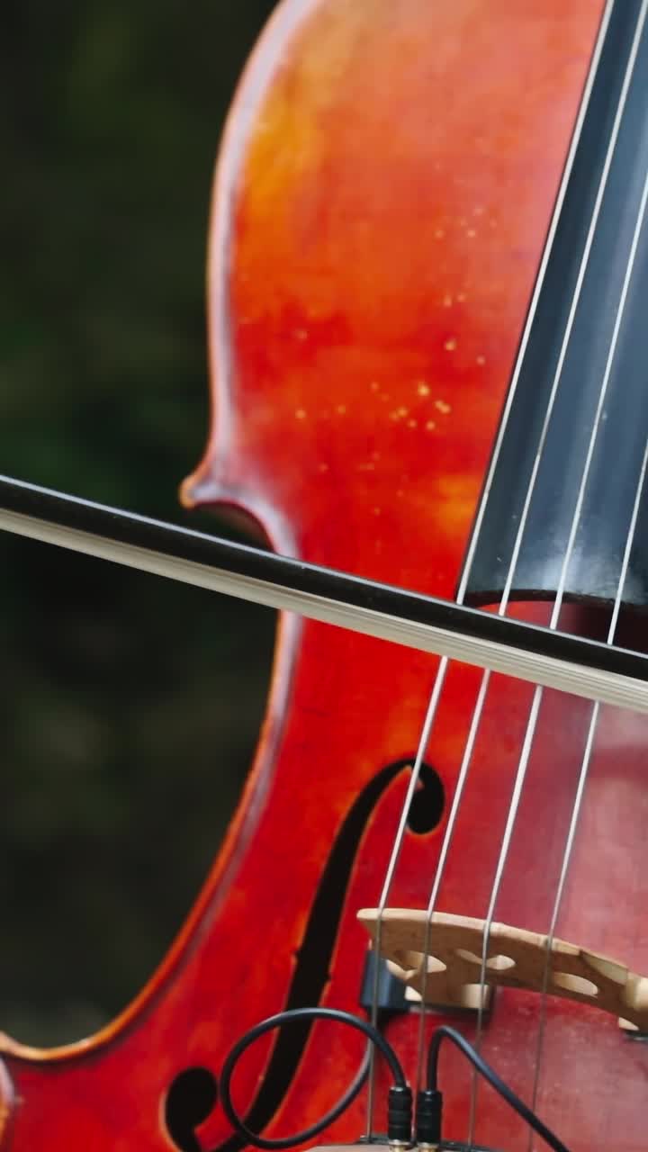 Dettaglio di una donna che suona il violoncello. Mano di donna che suona il violoncello nella natura.