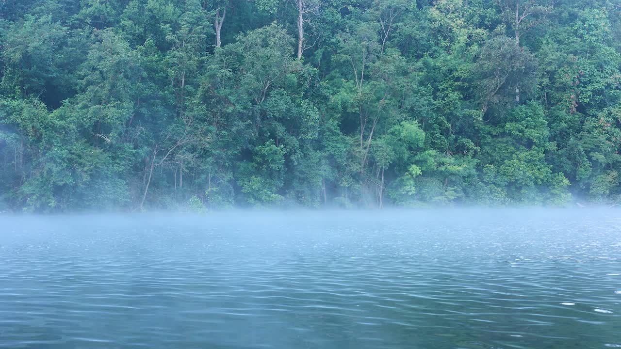 río nebuloso con un fondo de bosque verde exuberante