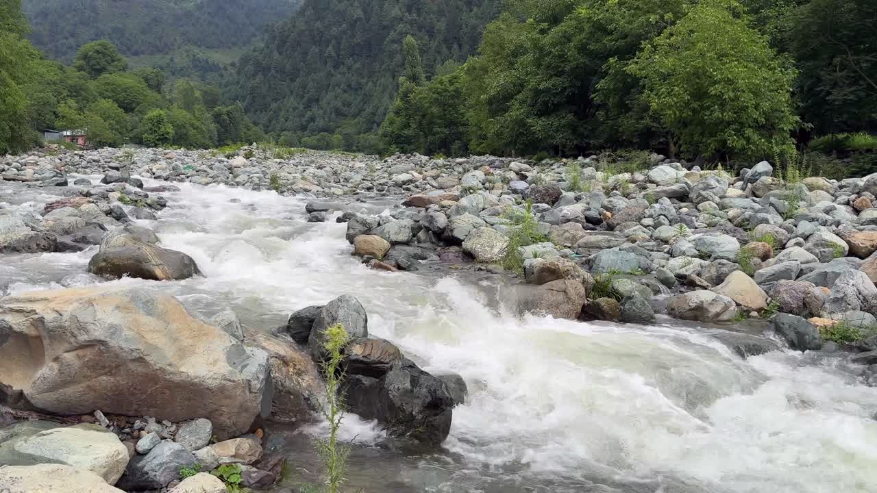 Nature Beauty, Travel Through Kashmir Green Landscapes, Birds, Water, Plants and the Life of Indian Farmers, ploughing bull and Environment Lovers