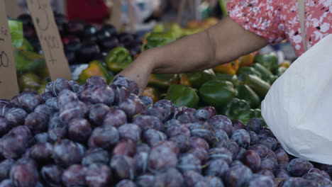 Toma-En-Cámara-Lenta-De-Un-Cliente-Recogiendo-Ciruelas-Para-Comprarlas-En-Un-Mercado-De-Agricultores