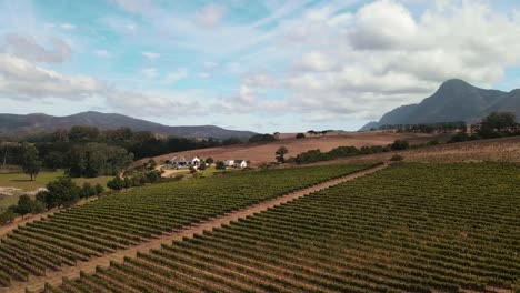 wine vineyards cover rolling hills with an old manor house and mountains and fields